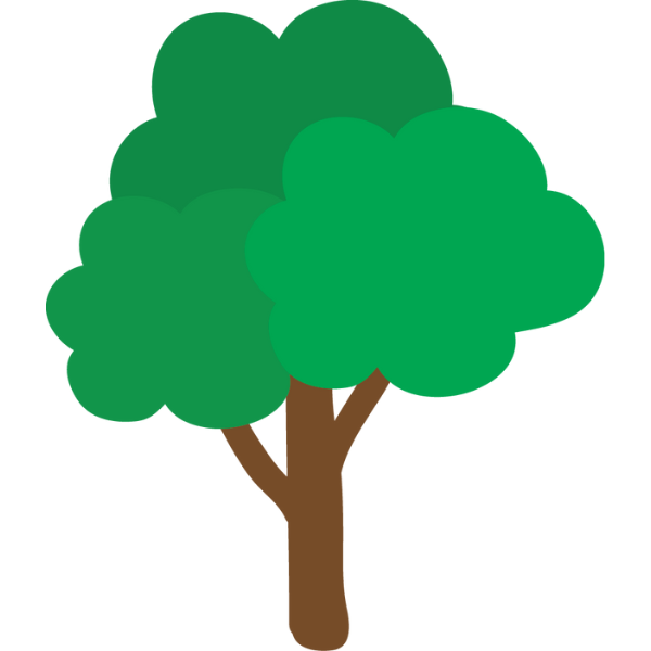We plant 2 trees for every order placed via our website.
